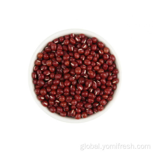 Red Bean Nutrition Healthy Beans With Fiber Factory